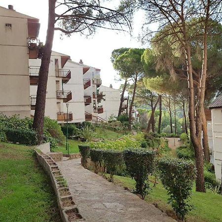 Apartament Casa Pini San Martín de Valdeiglesias Zewnętrze zdjęcie